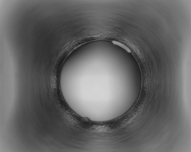 X0000116810689200912241221