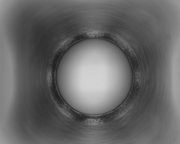 X0000116810690200912241221