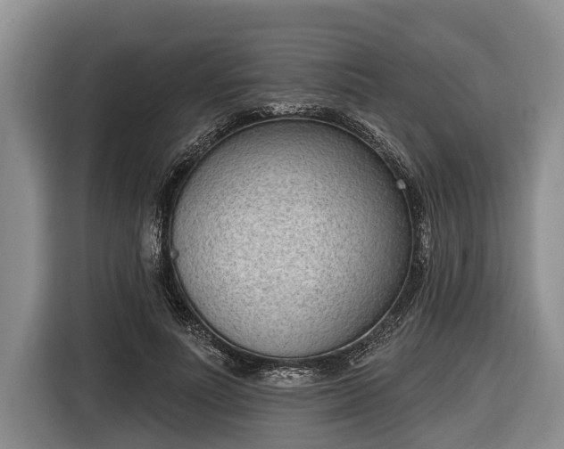 X0000116810691200912241221