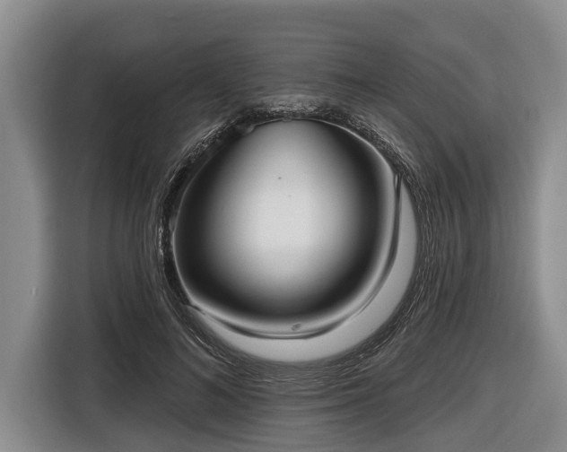 X0000116810692200912241221