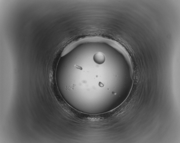 X0000116810693200912241221