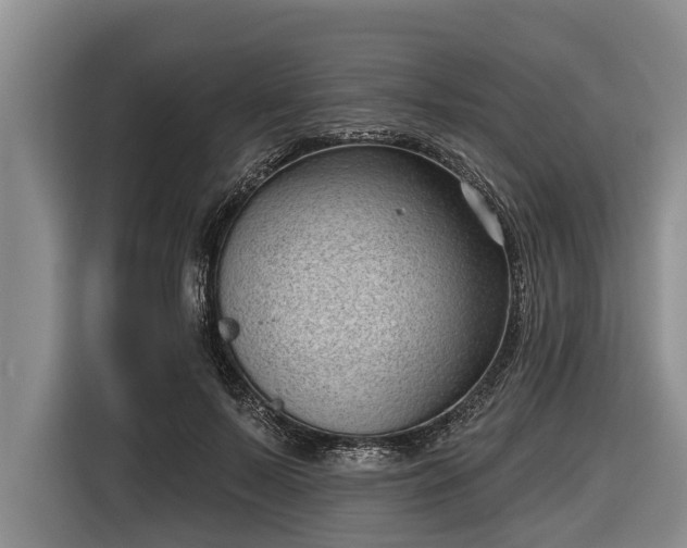 X0000116810695200912241221