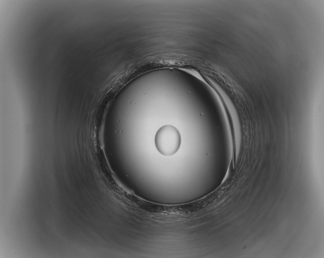 X0000116810696200912241221