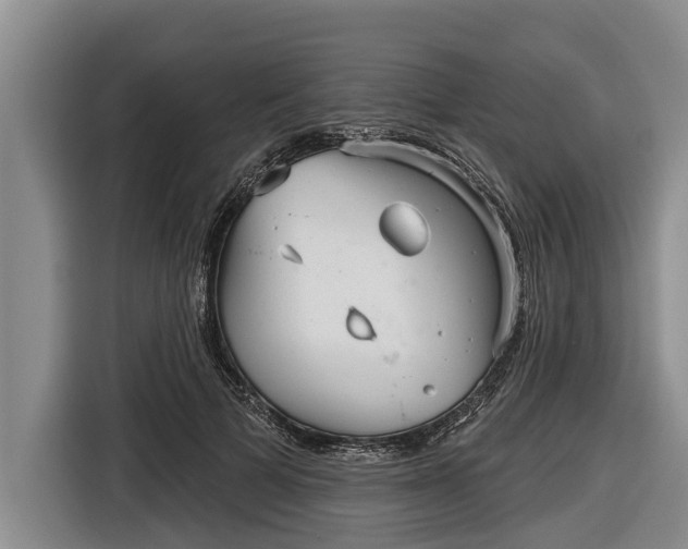 X0000116810697200912241221