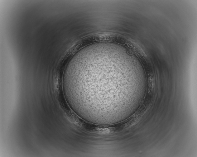 X0000116810698200912241221