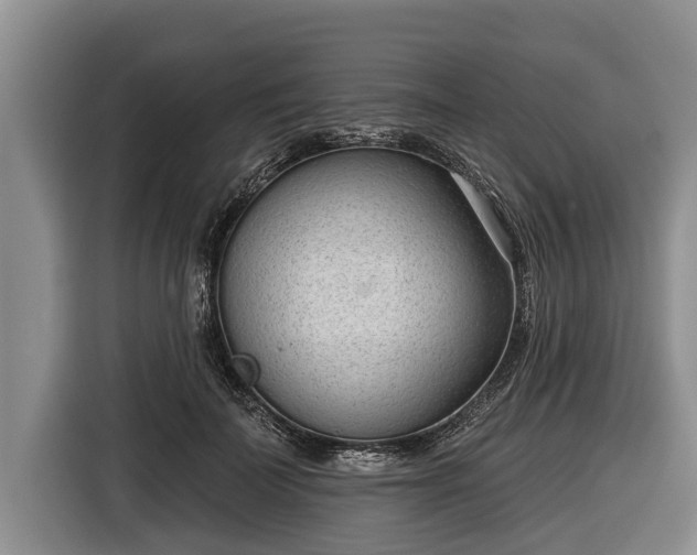 X0000116810699200912241221