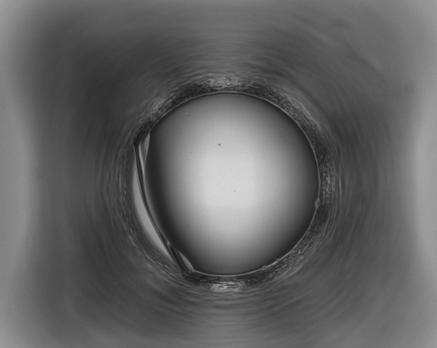 X0000116810700200912241221