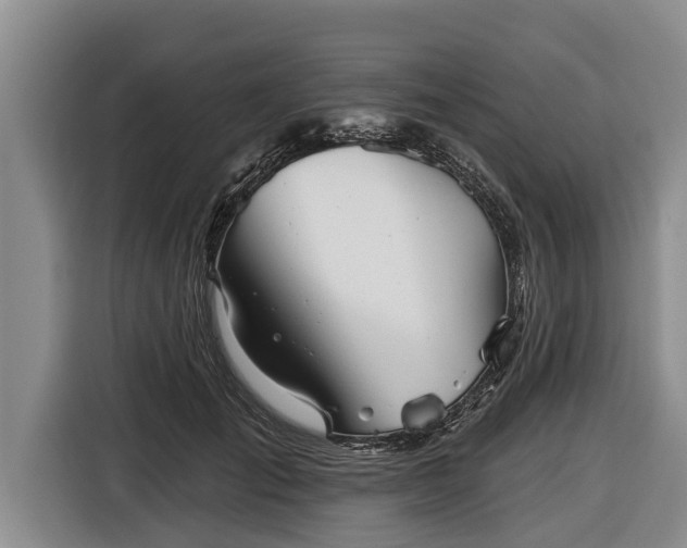 X0000116810701200912241221