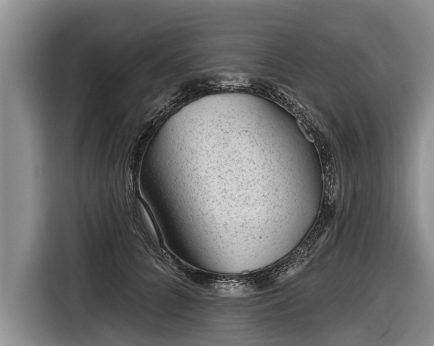 X0000116810704200912241221