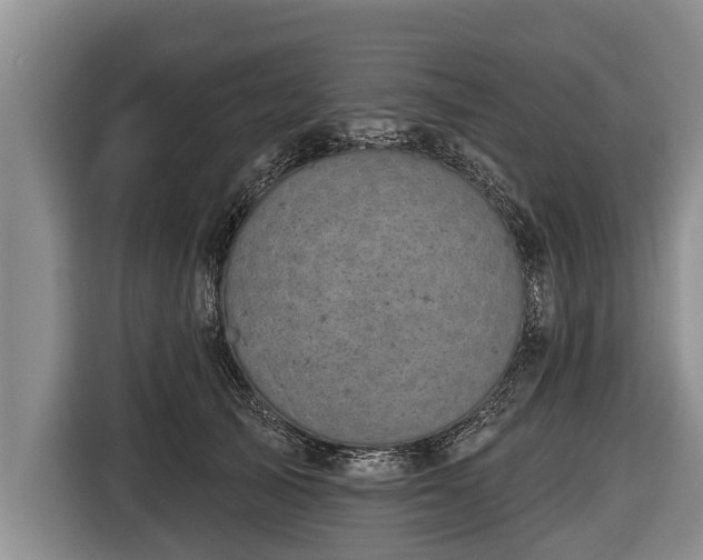 X0000116810705200912241221