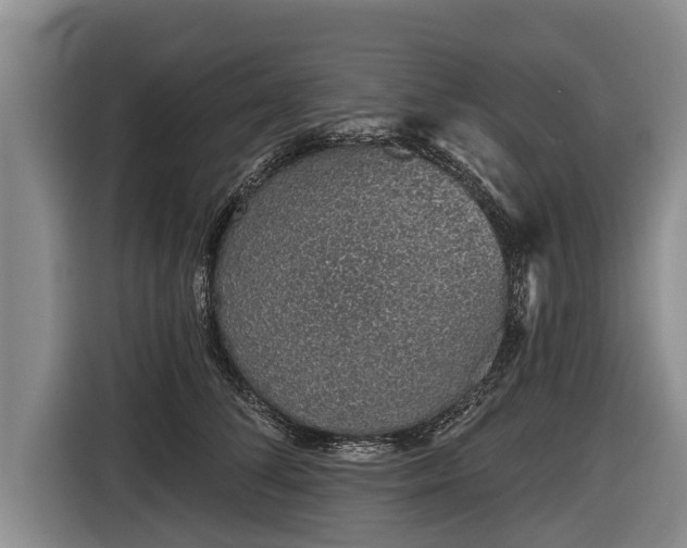 X0000116810708200912241221