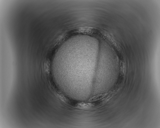 X0000116810712200912241221