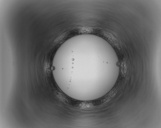 X0000116810714200912241221