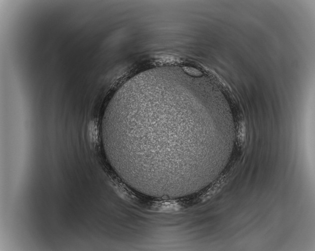 X0000116810715200912241221