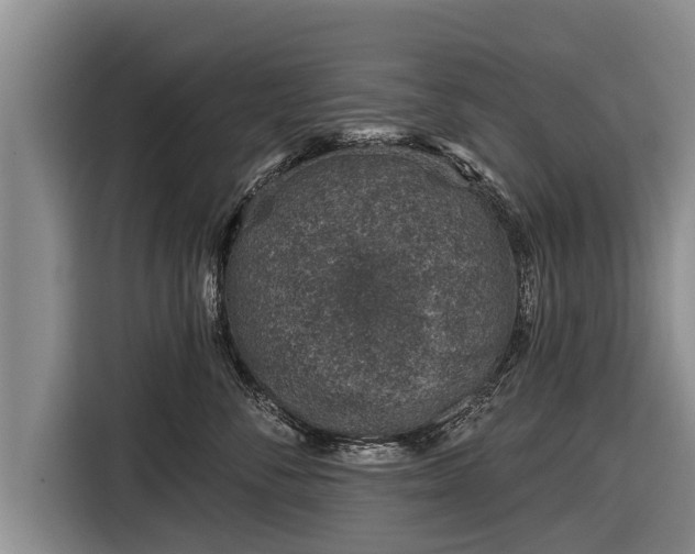 X0000116810716200912241221