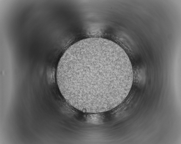 X0000116810717200912241221