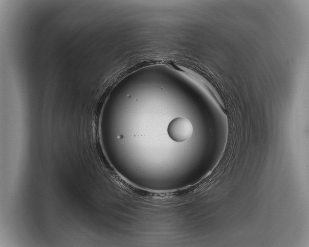 X0000116810720200912241221