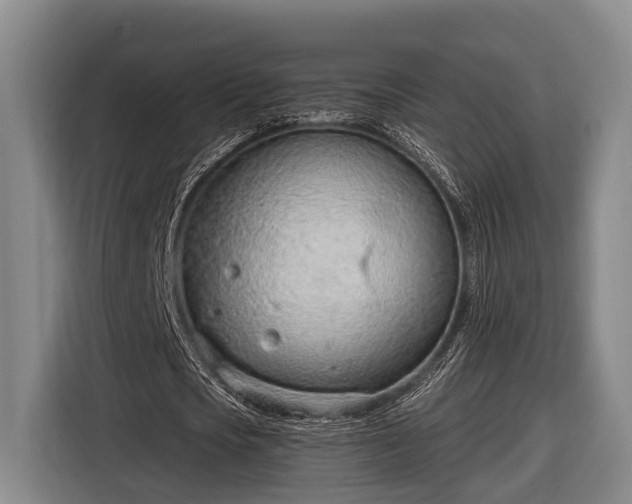 X0000116810721200912241220