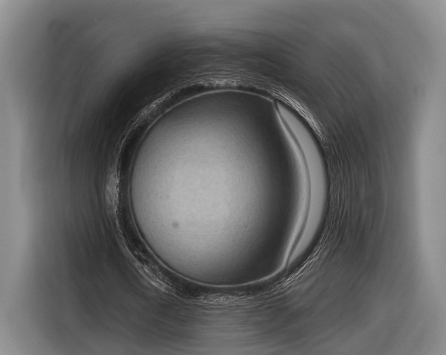 X0000116810722200912241220