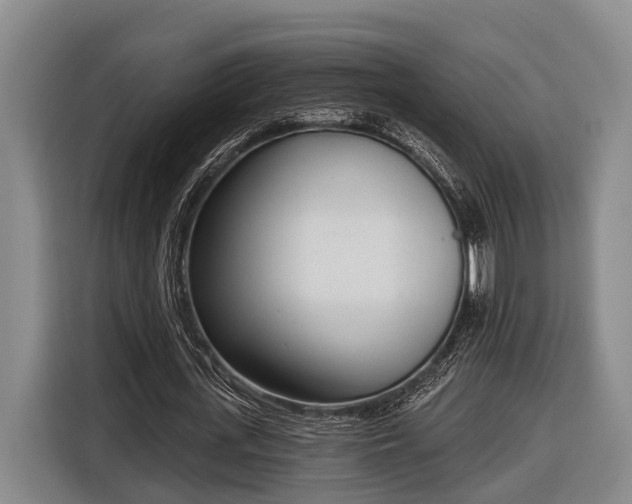 X0000116810723200912241220