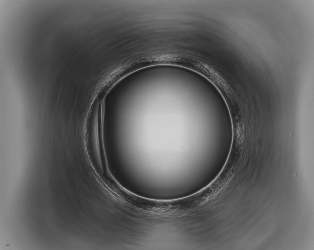 X0000116810725200912241220