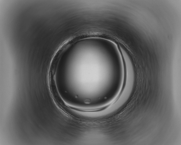 X0000116810726200912241220