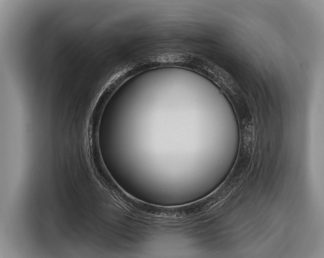 X0000116810727200912241220