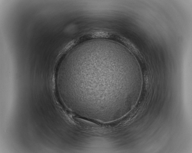 X0000116810729200912241220