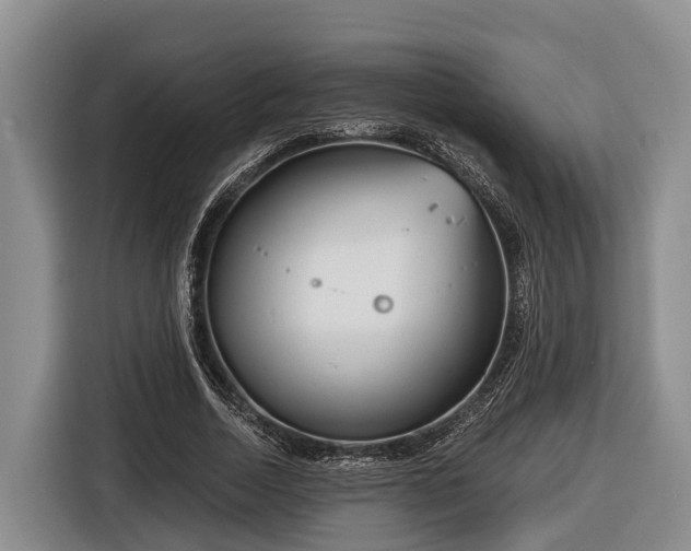 X0000116810730200912241220