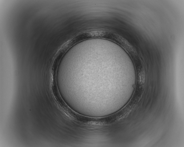 X0000116810733200912241220