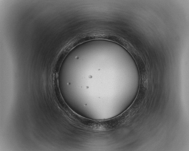 X0000116810735200912241220