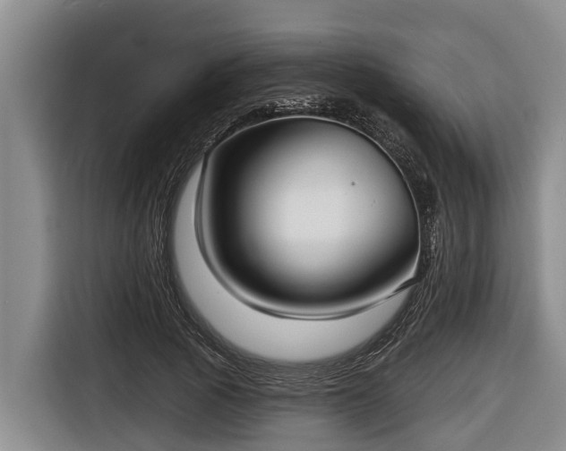 X0000116810737200912241220