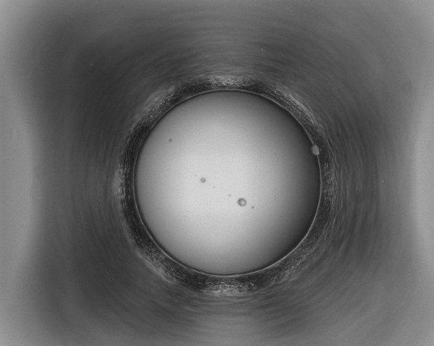 X0000116810738200912241220