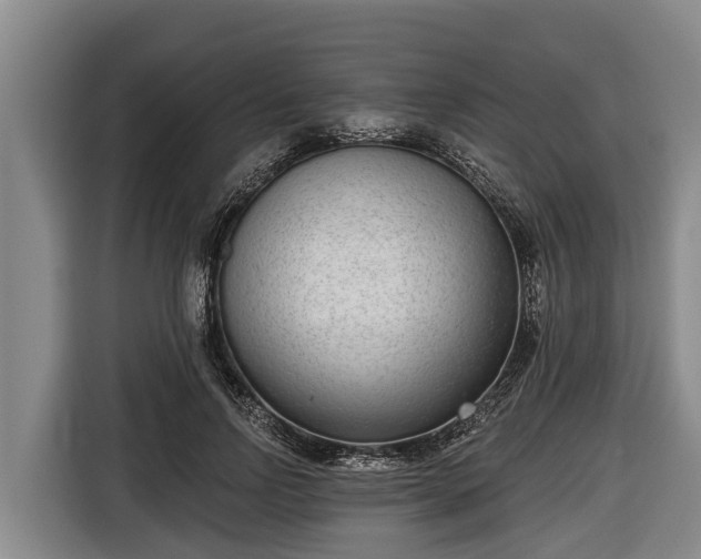 X0000116810742200912241220