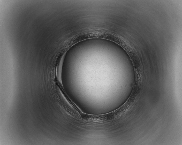 X0000116810745200912241220