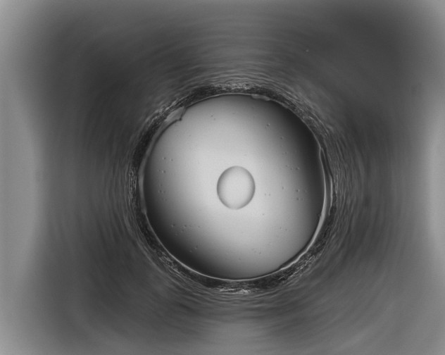 X0000116810747200912241220