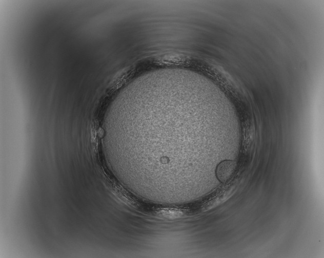 X0000116810749200912241221