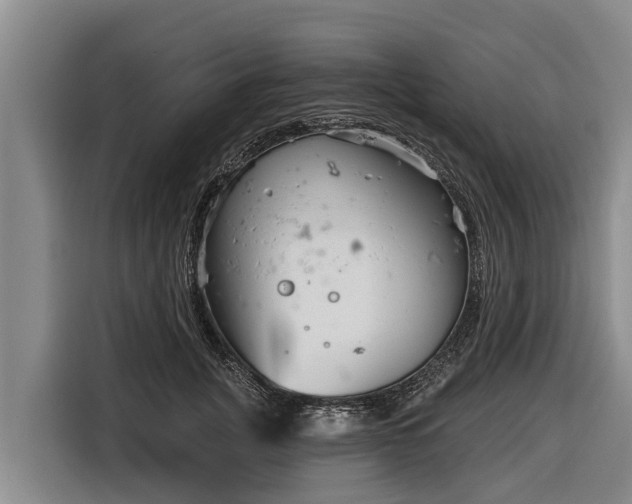 X0000116810751200912241221