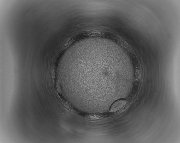 X0000116810753200912241221