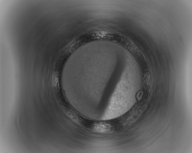 X0000116810754200912241221