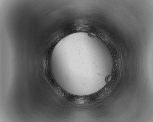 X0000116810755200912241221