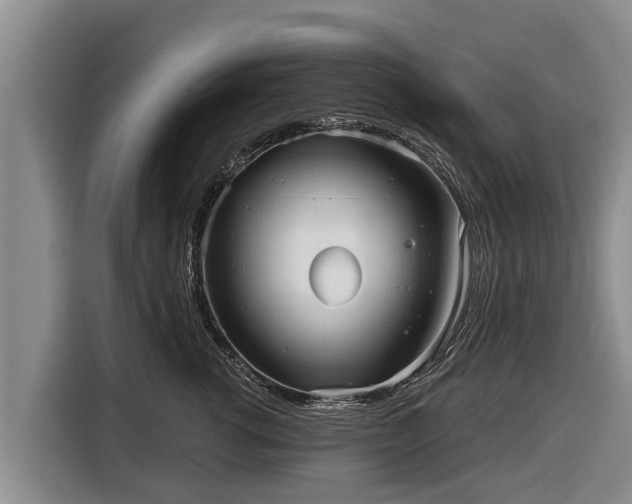 X0000116810762200912241221