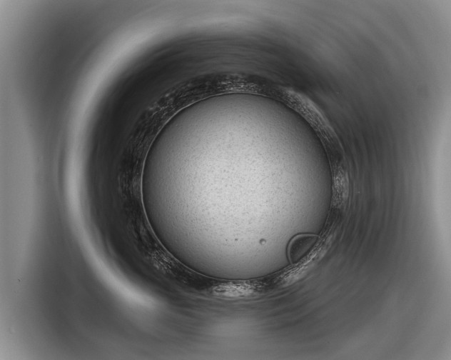 X0000116810765200912241221