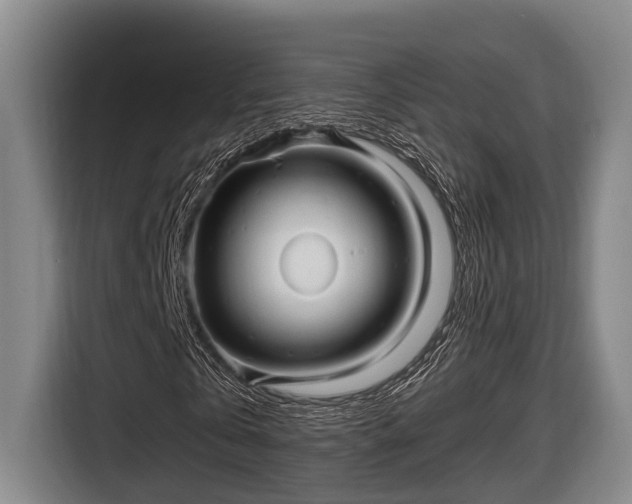 X0000116810769200912241220