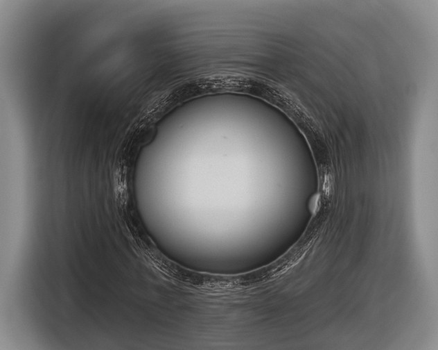 X0000116810771200912241220