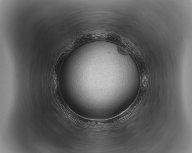 X0000116810772200912241220