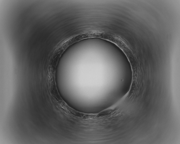 X0000116810773200912241220