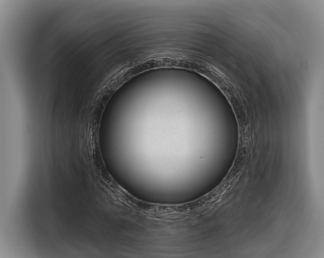 X0000116810774200912241220