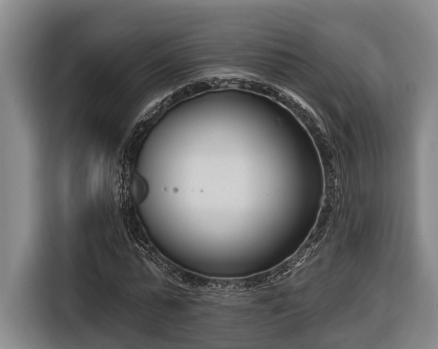 X0000116810775200912241220