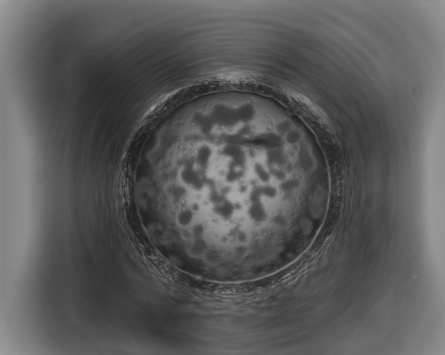 X0000116810776200912241220